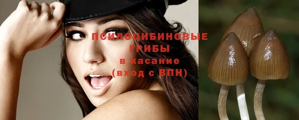 ALPHA PVP Дмитриев