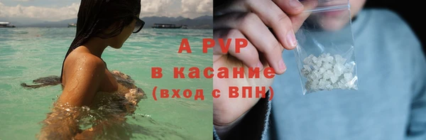 шишки Дмитровск