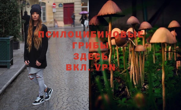 метадон Дмитров