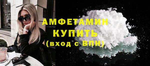 шишки Дмитровск