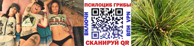 Псилоцибиновые грибы мухоморы  Купить где  Камбарка 